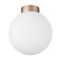 Настенно-потолочный светильник Lightstar Globo 812023
