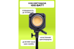 Осветитель светодиодный Raylab RL-100LED 2700-6500K с пультом