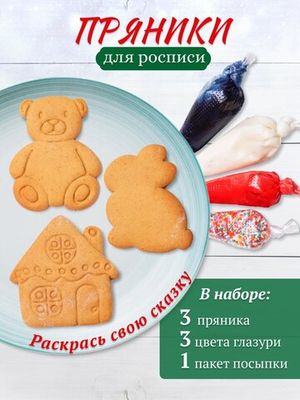Набор для мастер - класса росписи пряников "Сказка"