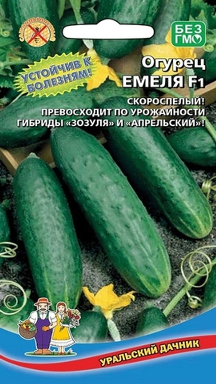 Огурец "G. Емеля F1" 10шт., Россия.