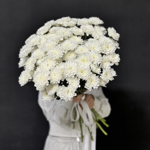 Белая хризантема букет доставим курьером