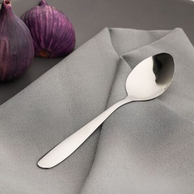 Набор ложек чайных Доляна «Симпли», длина 14,6 см, 6 шт, цвет серебряный