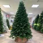 Ель искусственная «Хлоя» (Литая хвоя) от 1,5 м до 3 м