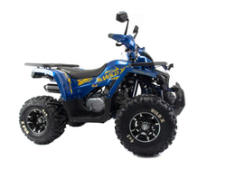 Квадроцикл MOTOLAND 125 WILD X PRO А