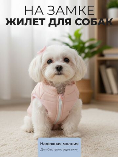 Жилет для собак