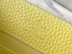 Louis Vuitton Capucines Mini