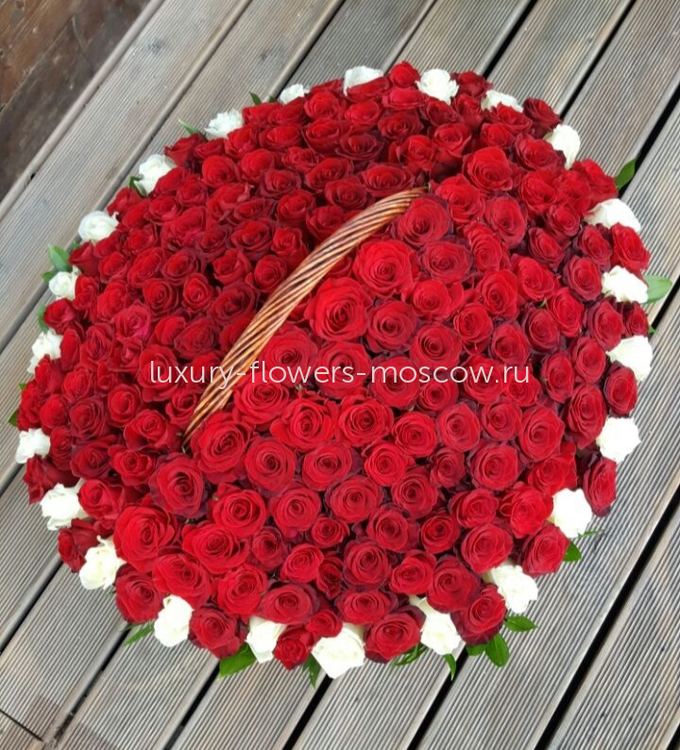 221 красная Эквадор экстра