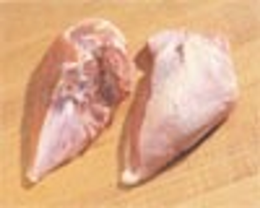Мясо курицы - Разделанная грудка бройлера со спинкой (Broiler Split Breast with Back)
