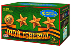 Мой генерал (0,8".1,2"х86) (Р8276)