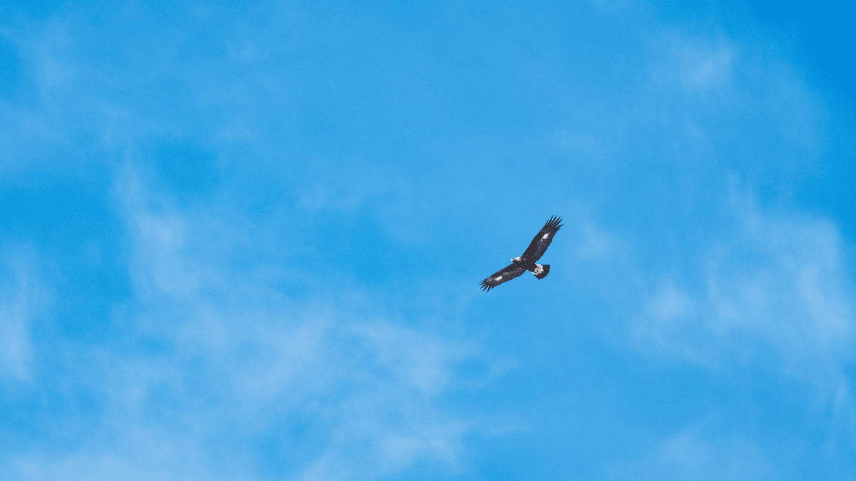 Почему важно мыслить широко и ставить масштабные цели