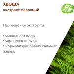 Экстракт хвоща, масляный