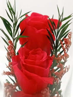 натуральные кустовые розы в стекле, вакуум*