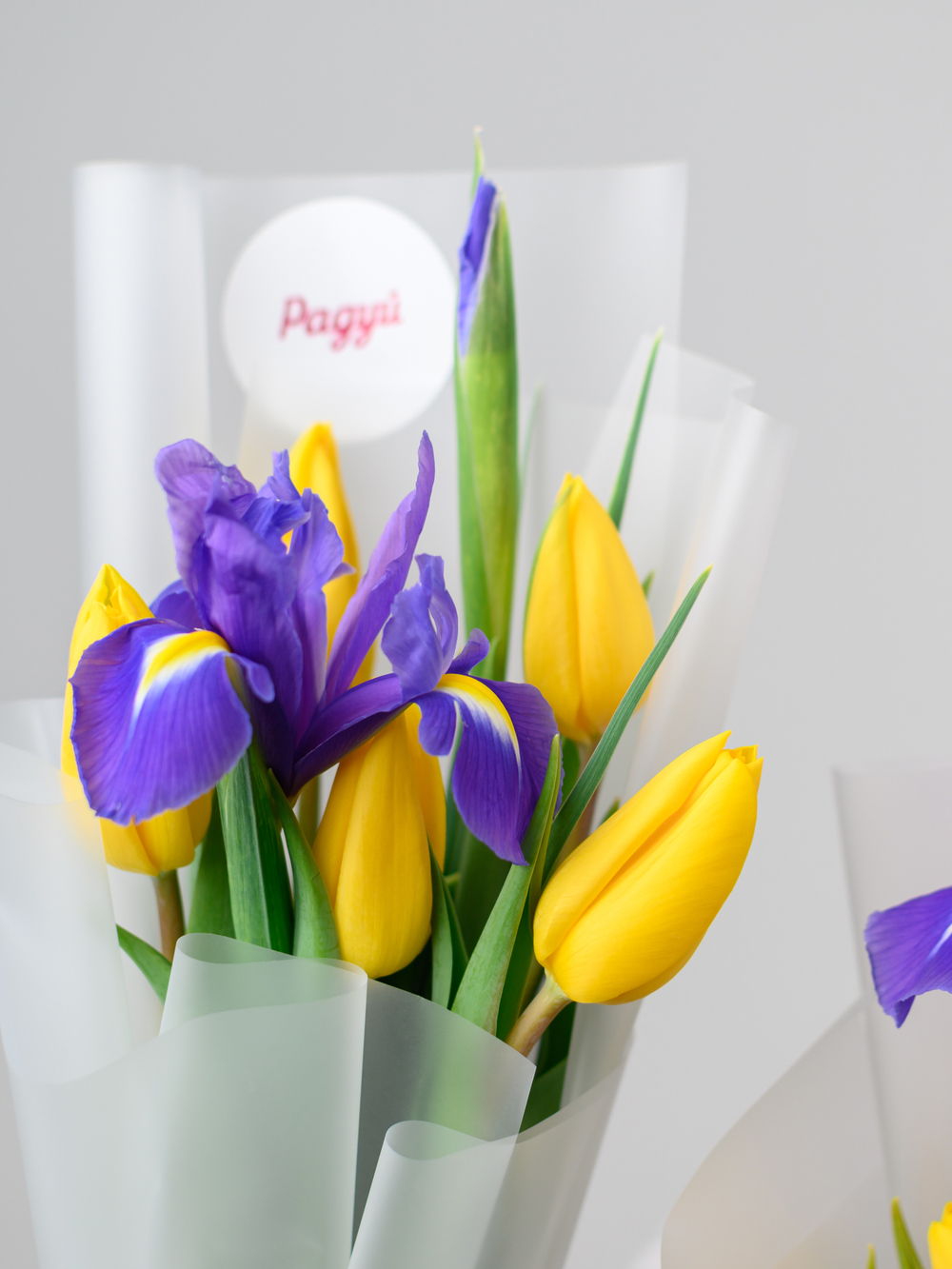 Дуо букет Ирисы и Тюльпаны
