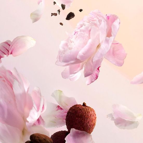 Louis Vuitton Attrape-Reves