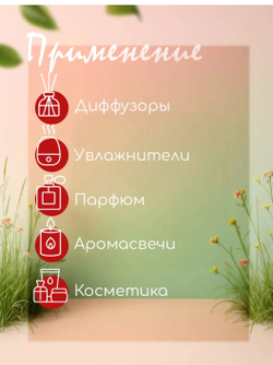 Эфирное масло «Гуава и малина», 10 мл, «Богатство Аромата»