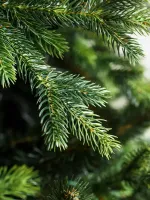 Искусственная ель «Грацио» (Литая+пвх) от 1,2 до 3 м