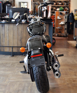 Мотоцикл Harley-Davidson Softail Standard 2022