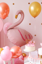 Let’s Flamingo!