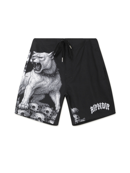 Мужские Шорты Wasteland