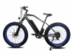 Электрофэтбайк Volt Age ALL ROAD W