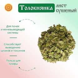 Лист толокнянки.