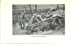 Уошбёрн С. Заметки на полях о русском фронте / фот. Дж. Мьюис. 1915 г.