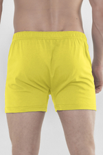 Трусы мужские классические Cavalo Marinho СТЭ