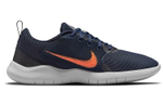 Кроссовки Nike Flex Experience Rn 10