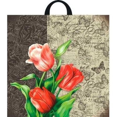 Пакет с петлевой ручкой ПВД 44х44 (70 мкм) "Эстер" (25/250 шт.) Интерпак