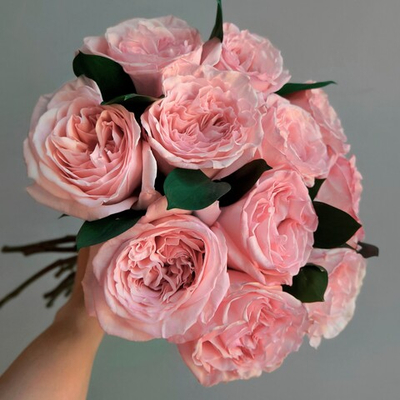 Очаровательная Pink O'Hara