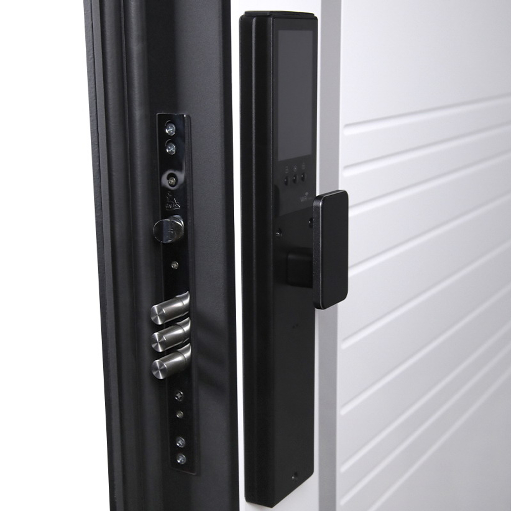 Стальная дверь "Аша" 3Д (биометрический замок). Заказная модель.