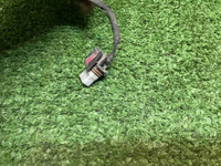 Проводка заднего бампера Haval Jolion (2024-н.в.)