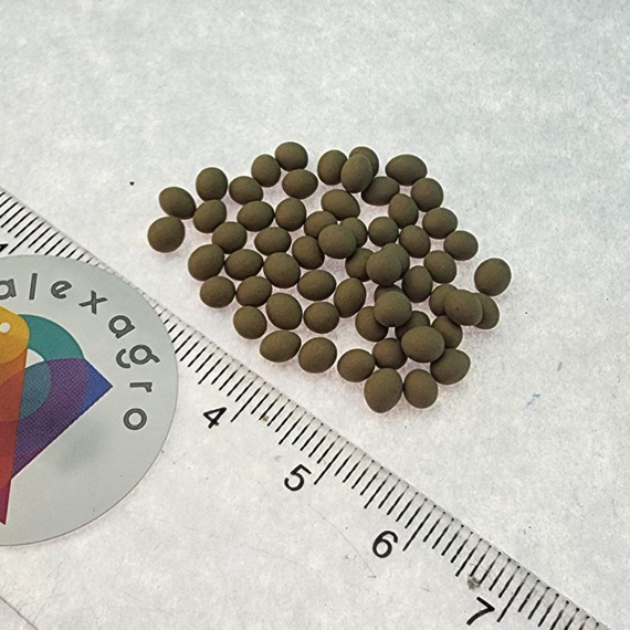 ГОГЕН семена салата Rijk Zwaan семена – фото 4