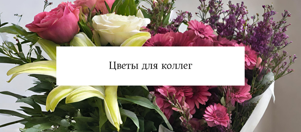 How to quickly and conveniently choose flowers to congratulate colleagues?