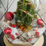 Готовый новогодний флорариум Ель Фаберже