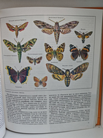 Животный мир Земли