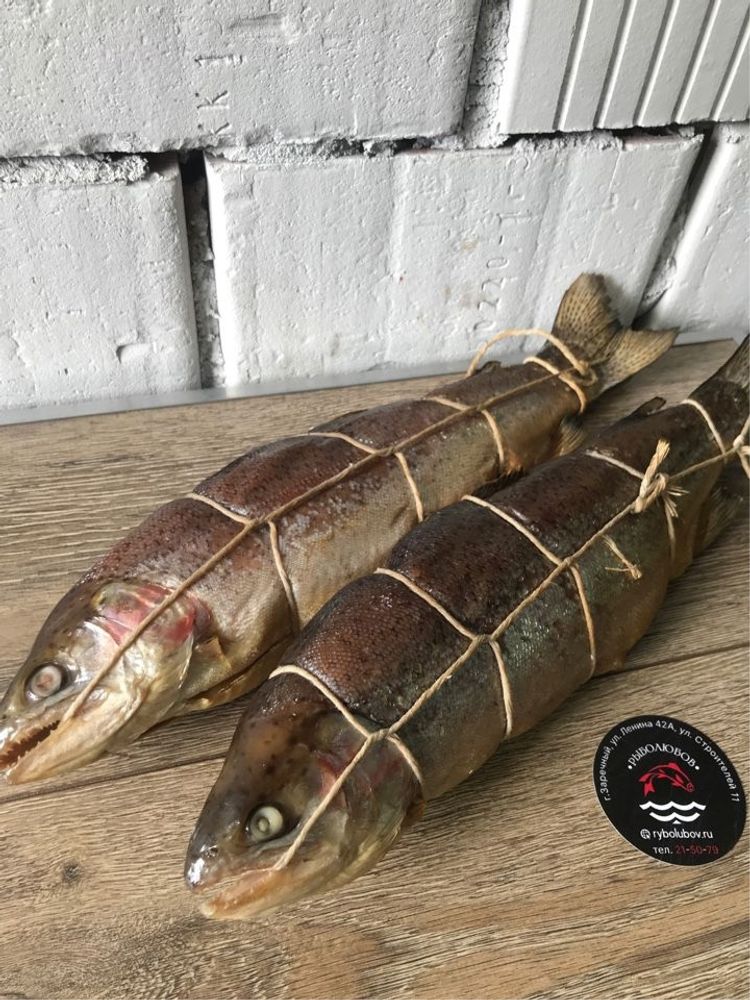 Форель Горячего копчения
