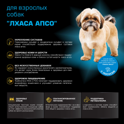 Корм сухой для взрослых собак породы Лхаса апсо, с лососем, 800 гр, QUATTRO