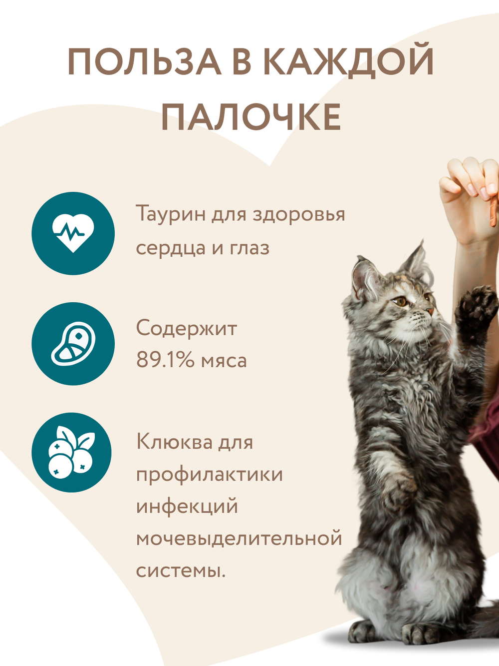 Лакомство Мнямс лакомые палочки для стерилизованных кошек из индейки и цыпленка 10х5 г