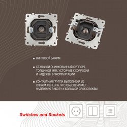 ТВ-розетка без рамки Arte Milano am-203 203.42-1.shampan