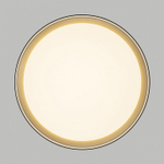 Накладной светильник Citilux BOSS CL751351G
