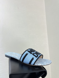 Christian Dior Dway Slide (11 colors)