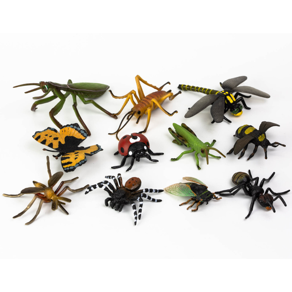 Набор насекомых Animals