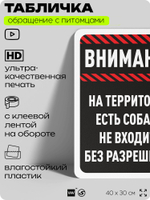 Табличка "На территории есть собаки, не входите без разрешения" на дверь и забор, для двора, дома, подъезда, 40х30 см, Silver Plane x Айдентика Технолоджи
