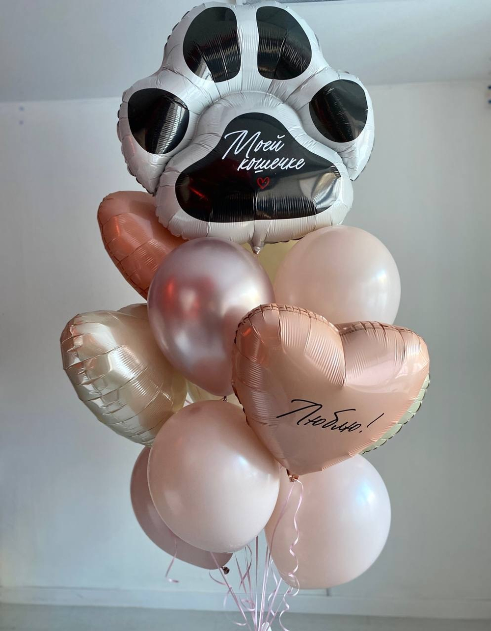 Воздушные шары след / лапка для любимой / моей кошечке №2688