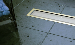 Душевой лоток Pestan Confluo Premium White Glass Gold Line 650 белое стекло/позолоченная сталь 13100091