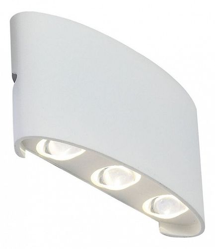 Уличный настенный светильник ST-Luce SL089.501.06