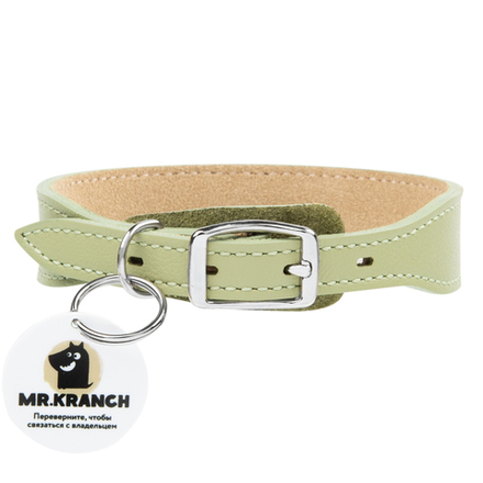 Ошейник Mr.Kranch для собак из натуральной кожи с QR-адресником 20-24см нежно-зеленый