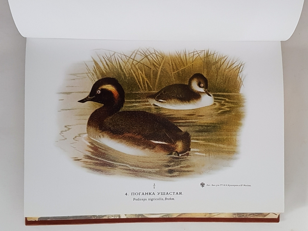 Подарочная книга "Охотничьи и промысловые птицы Европейской России и Кавказа". М.А. Мензбир