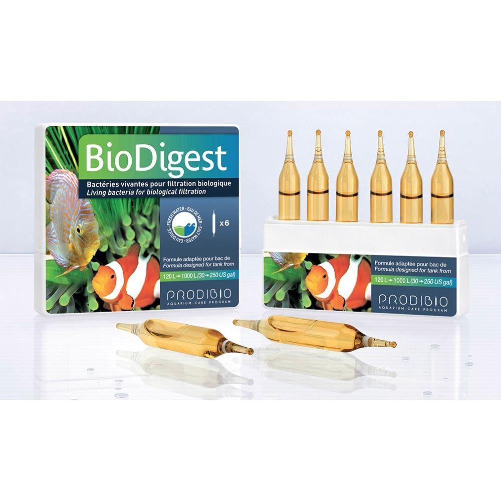 Prodibio BioDigest 6 ампул - гипер-концентрированные бактерии для аквариумов (1 ампула на 1000 л)